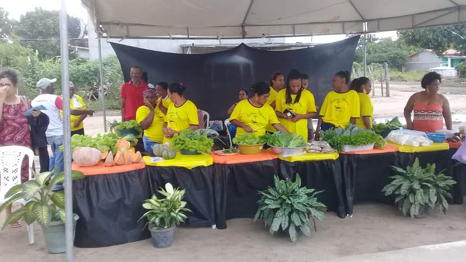 I Feira Orgânica Empodera Quilombo